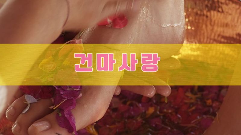 🌟 베테랑 혼혈스웨디시
